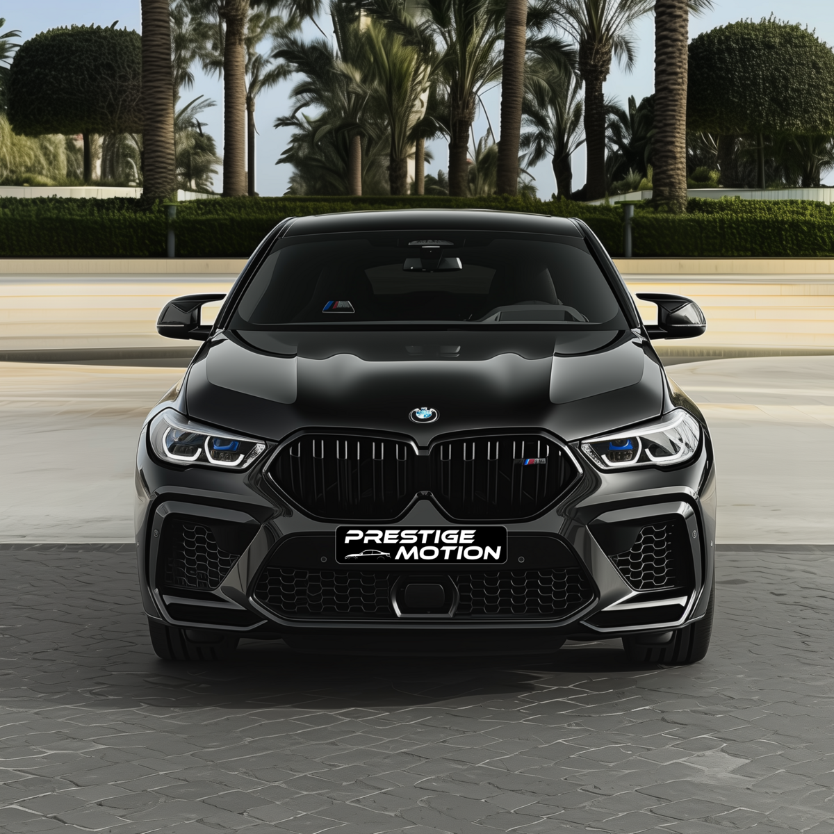 bmw_x6_m